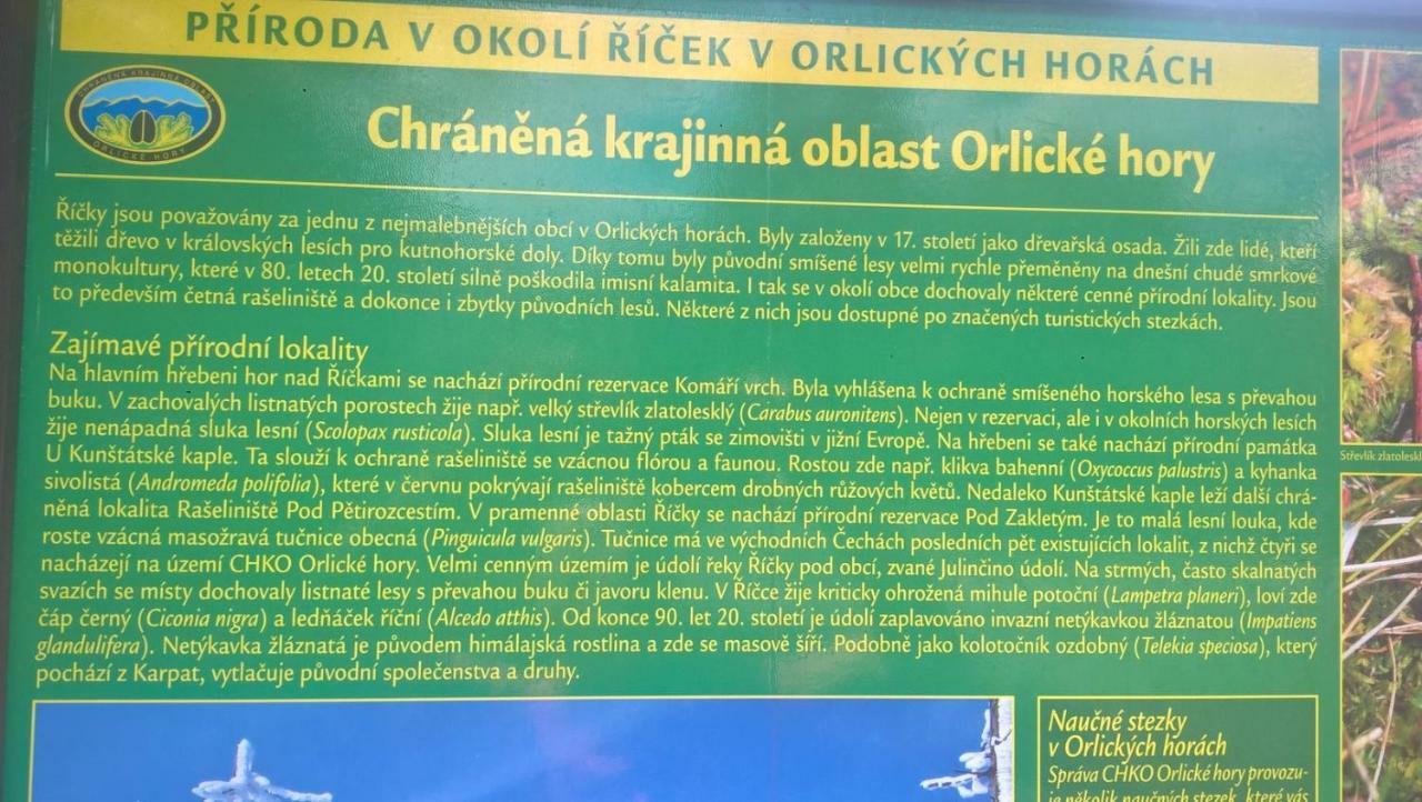 Apartman Nad Terasou Říčky Extérieur photo