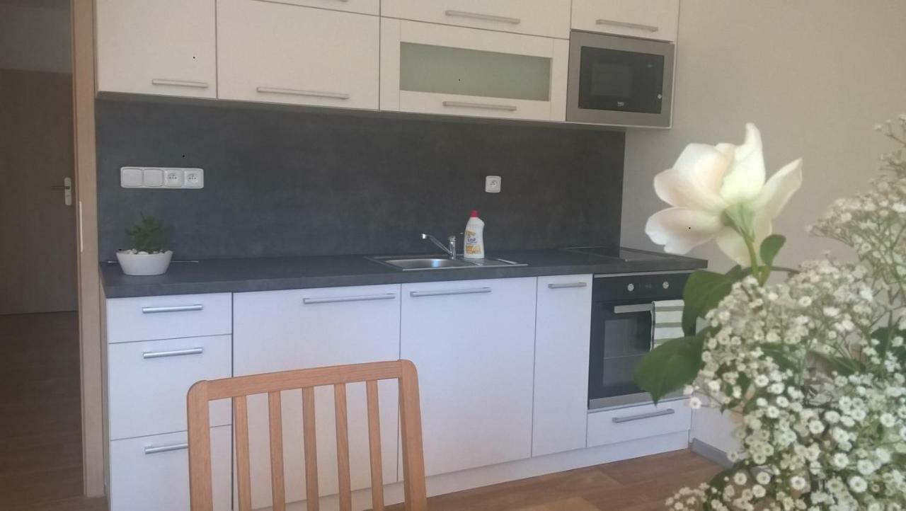 Apartman Nad Terasou Říčky Extérieur photo